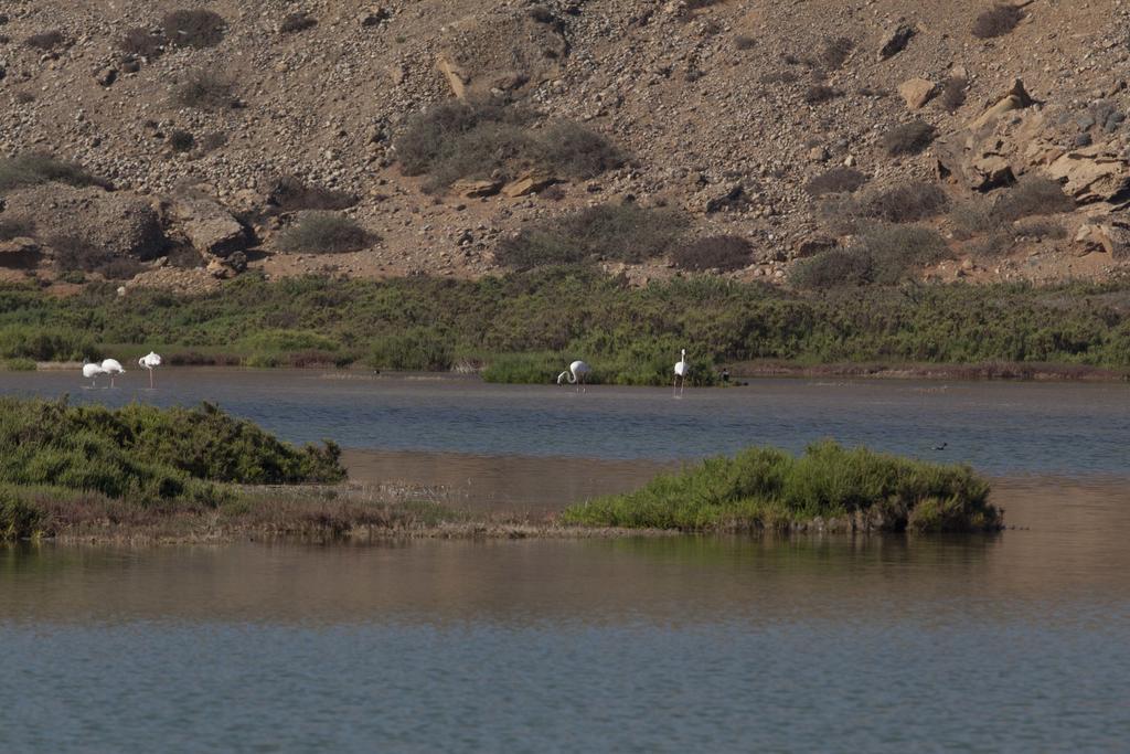 Ksar Massa Bed and Breakfast Rbat Esterno foto